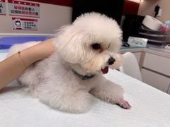 -御宝贝24h宠物医院·转诊中心·CT核磁血透中心(厦门总院)
