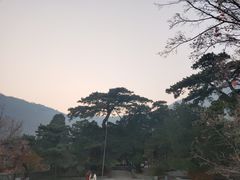 -香山公园