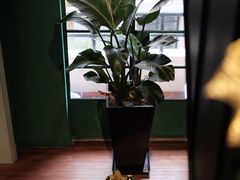 -OOAK设计师品牌概念店(新乐路店)