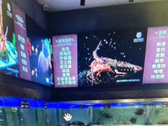 -珠海棕泉水疗酒店(拱北口岸高铁站店)