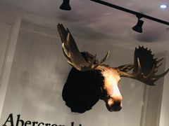 -Abercrombie & Fitch(三里屯太古里店)