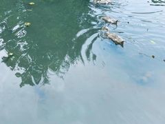 -楠溪江风景名胜区