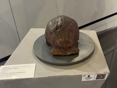 -北京周口店北京人遗址博物馆