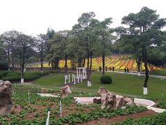 -松山湖梦幻百花洲