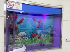 -雅悦齿科(顾村公园店)