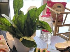 -胶东海鲜大排档(北太平庄店)