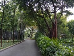-晓港公园