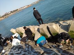 -青岛第二海水浴场