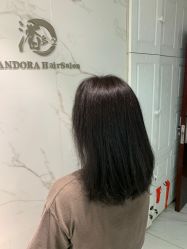 -潘多拉Hairsalon