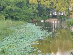 -上海市保健医疗中心