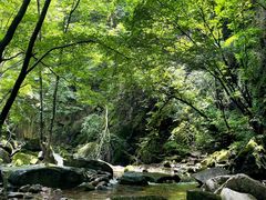 -龙峪湾国家森林公园