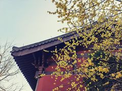 -钱王祠