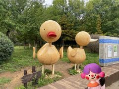 -前关湿地公园