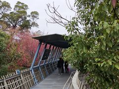 -福道