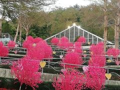 -东部华侨城