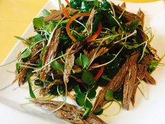 -素虎小呆鸟(西二旗店)