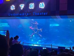 -泉城欧乐堡海洋极地世界