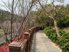 -小南山公园