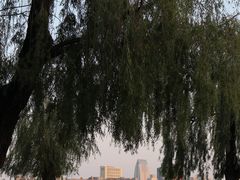 -长春市南湖公园