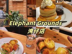 -Elephant Grounds(STARSTREET)