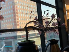 景观位-炎蔵牛舌烤肉