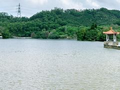 -深圳仙湖植物园