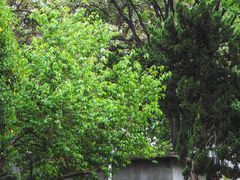 -莲湖公园