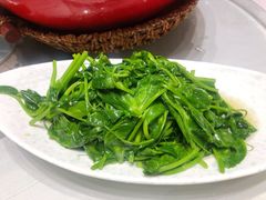 清炒豌豆尖-渝信川菜(西单店)