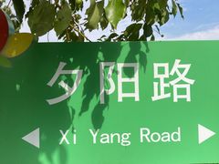 -召稼楼古镇