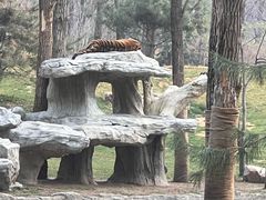 -北京野生动物园