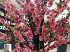 -大鸭梨烤鸭店(金顶街店)