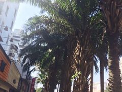 -毛家饭店(拱北店)