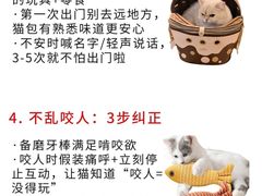 -宠福鑫动物医院·动物疾病诊疗中心(天通苑店)