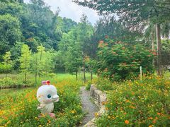 -云溪植物园