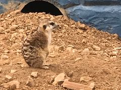 -无锡动物园·太湖欢乐园