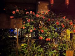 门面-胡桃里音乐酒馆(石家庄店)