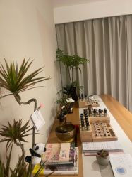 -东英经典SKIN&SPA