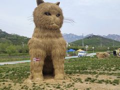 -西海岸生态观光园