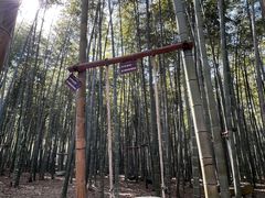 -陶祖圣境风景区