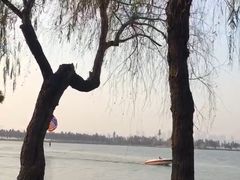 -东湖磨山景区