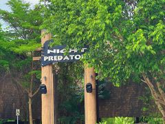 -清迈夜间动物园