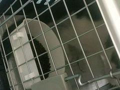 -宠颐生宠物医院外科·内科·皮肤科·影像科(石龙店)