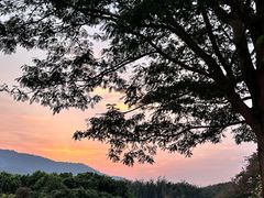 -风云岭森林公园