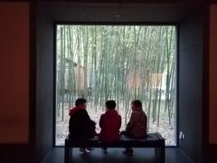 -金鸡湖桃花岛
