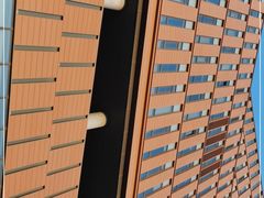 -中国宋庆龄青少年科技文化交流中心