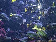 -海合安青岛极地海洋公园