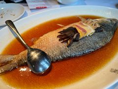 招牌中式清蒸鲥鱼（半条）-苏浙汇(古北店)
