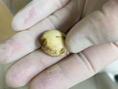 -美联众合动物医院·24h京西诊疗中心