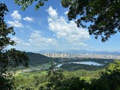 -风云岭森林公园
