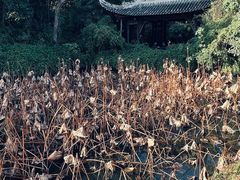-三苏祠